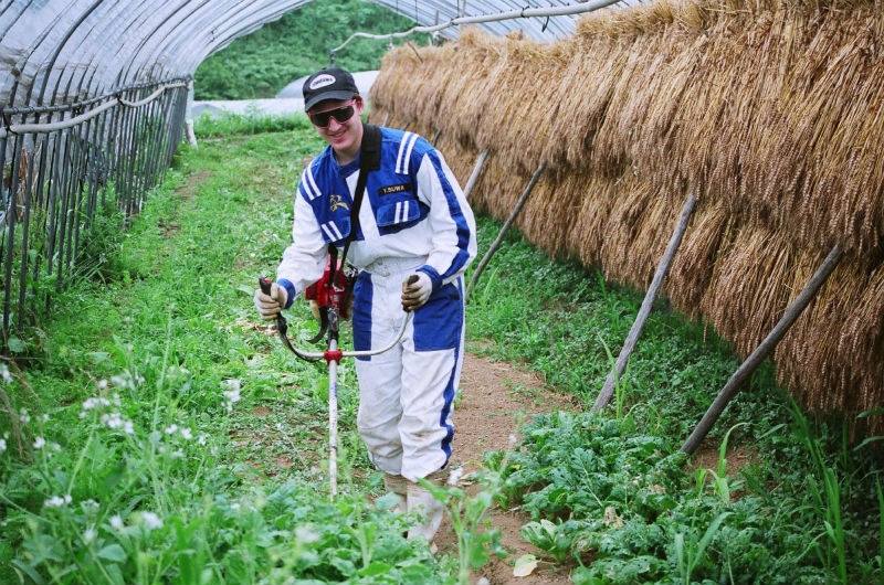 9. Làm việc tại trang trại hữu cơ: WWOOF (Worldwide Opportunities on Organic Farms) là một hệ thống các tổ chức liên kết những người tình nguyện với các trang trại trồng trọt hữu cơ. Bạn có thể đăng ký tham gia tình nguyện trong khoảng 4-6 giờ/1 ngày ở các trang trại để đổi lấy chỗ ở và bữa ăn. WWOOF có cơ sở trên toàn thế giới như đồn điền chuối ở Costa Rica, trồng lúa ở Trung Quốc hay làng sinh thái ở Thụy Điển. Ảnh: Businessinsider.
