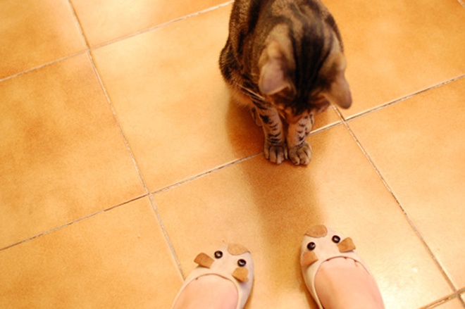 Cuối cùng là đính chiếc nút nhỏ màu đen vào mặt giày, hoàn tất công đoạn F5 đôi giày cũ đơn điệu thành một phụ kiện thật duyên dáng, dễ yêu, giúp bạn tha hồ khoe chân xinh trên phố.