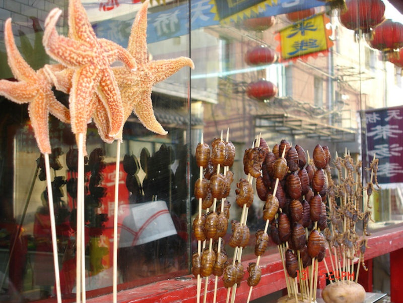 2. Nền ẩm thực đa dạng: Thực phẩm của Trung Quốc cực kỳ đa dạng và phong phú. Trung Quốc có nhiều vùng miền khác nhau và mỗi vùng đều có nền ẩm thực độc đáo riêng. Các phong cách phổ biến như các món xào Quảng Đông, súp và hải sản ở Sơn Đông, hay các món ăn cay ở Tứ Xuyên. Ngoài ra, Trung Quốc còn được biết đến với các thực phẩm khác thường như côn trùng và các loài bò sát.