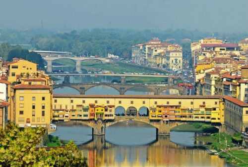 Nhung cay cau mang tren minh ca nha dan hinh anh