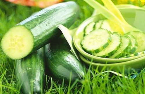 2. Dưa chuột: Cắt vài lát dưa chuột hoặc xay nhuyễn, lấy nước đắp lên môi sẽ giúp môi tươi tắn và mịn màng. Dưa chuột có tác dụng tẩy trắng tự nhiên mà rất lành. Áp dụng trong một vài ngày sẽ giúp đôi môi bạn thay đổi rõ rệt.