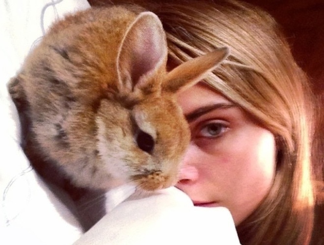 Những chú mèo, thỏ con ngoan hiền hay cún con nghịch ngợm… sẽ tăng thêm nét ngọt ngào, duyên dáng cho chính bạn, và cũng rất dễ làm lung lay người khác vì không khí ấm áp và bình yên trong mỗi khung ảnh selfie.