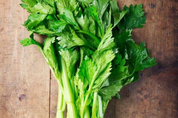 1. Cần tây: Theo nha sĩ Lana Rozenberg, người sáng lập ra Rozenberg Dental Day Spa ở New York, cần tây có thể bảo vệ răng của bạn theo hai cách. Khi bạn ăn cần tây sẽ sản xuất ra được nhiều nước bọt, có tác dụng vô hiệu hóa được loại vi khuẩn Streptococcus gây sâu răng. Hơn nữa, loại thực phẩm này có tác dụng massage các nướu răng và làm sạch kẽ răng.