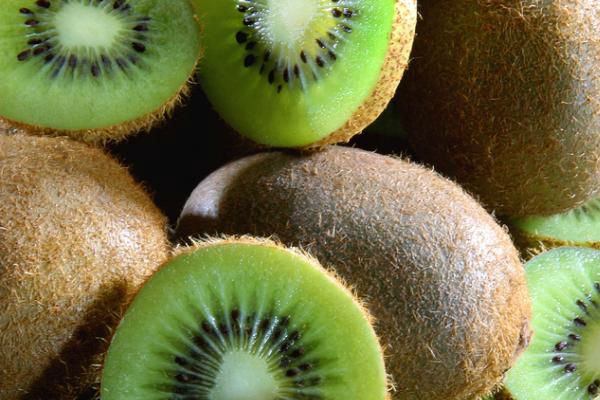 6. Kiwi: Kiwi giàu vitamin C hơn bất kỳ loại hoa quả nào khác. Theo nhiều nghiên cứu, nếu cơ thể bạn không có đủ lượng vitamin C cần thiết, các mạng lưới collagen trong nướu sẽ bị phá hủy, khiến nướu mềm và nhạy cảm tạo điều kiện cho vi khuẩn gây bệnh nha chu. Bởi vậy, thay vì ăn sáng với một cốc yến mạch có đường, bạn nên sử dụng một lát kiwi để bổ sung vitamin C cho cơ thể.