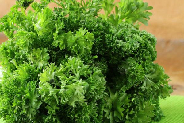 8. Rau mùi tây: Nhai mùi tây hoặc lá bạc hà sau mỗi bữa ăn cay sẽ giúp bạn duy trì hơi thở thơm tho. Những loại thảo mộc này có chứa monoterpene, các hợp chất giúp bay mùi và làm trắng răng. 