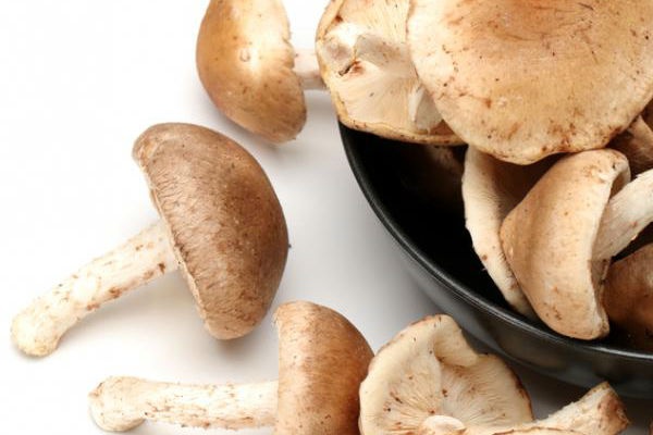 9. Nấm hương: Một nghiên cứu cho thấy lentinan, một loại đường có trong nấm hương giúp ngăn chặn vi khuẩn trong miệng tạo ra mảng bám. Một vài lần mỗi tuần, bạn hay thêm 4-5 lát nấm hương thái lát vào món súp hoặc món xào trong bữa ăn của gia đình.