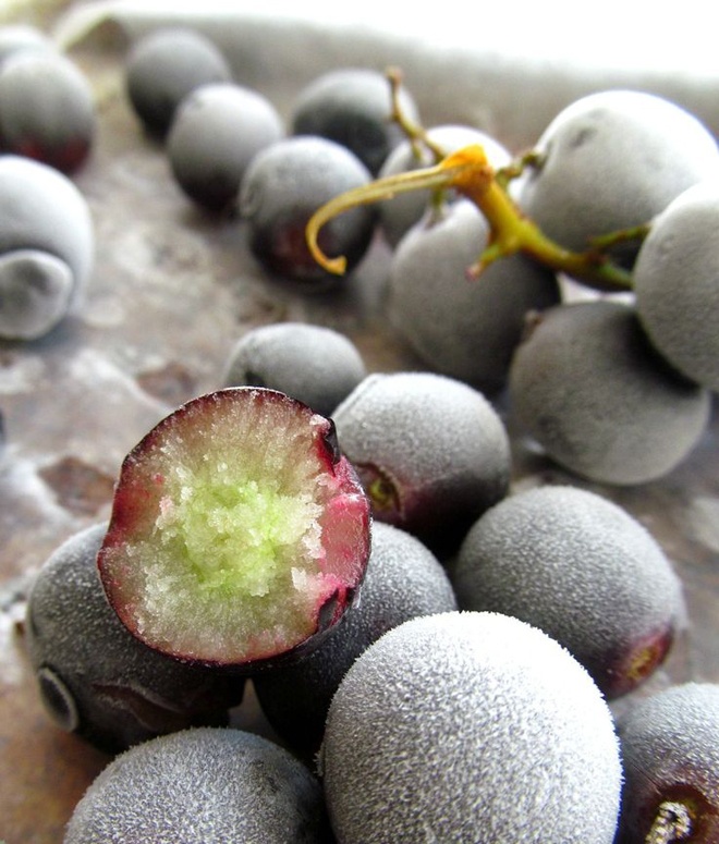 Có một mẹo hay để bạn vẫn có thể ăn trái cây có vị ngọt như nho, nhưng ở số lượng hạn chế và khoa học hơn. Đó là đông lạnh chúng trước khi ăn, vì như vậy sẽ tốn nhiều thời gian để nhai, vừa tăng cử động quai hàm vừa giúp bạn ăn ít hơn.