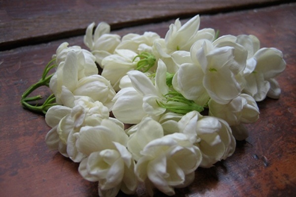 3. Mặt nạ hoa nhài: Hoa nhài thường được coi là 