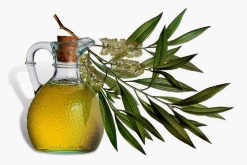 5. Tinh dầu cây trà: Loại dầu này là liệu pháp hoàn hảo để giảm nhiễm trùng dưới bề mặt da, bởi việc lớp da bên dưới bị phá hủy có thể làm tăng nguy cơ xuất hiện sẹo.