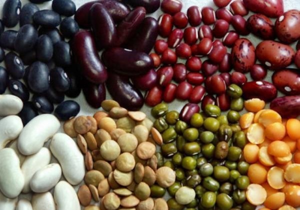 1. Các loại đậu: Đậu đỏ và đậu lăng cung cấp các protein thúc đẩy sự tăng trưởng giúp làm tăng độ dày và độ dài của mái tóc. Sắt, kẽm và biotin có trong các loại đậu có thể giúp ngăn ngừa tình trạng gãy rụng tóc. Bạn hãy thử cho thêm đậu vào món súp, món hầm hoặc salad và bắt đầu nuôi dưỡng tóc từ trong ra ngoài.