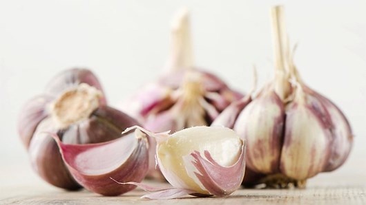 4. Tỏi: Những người ở độ tuổi sinh sản nên hạn chế ăn tỏi tươi, tuy nó là thực phẩm giúp tăng cường sức đề kháng, có tác dụng phòng bệnh hiệu quả nhưng tác dụng tiêu cực của nó là giết chết tinh trùng, gây khó khăn cho việc thụ thai.