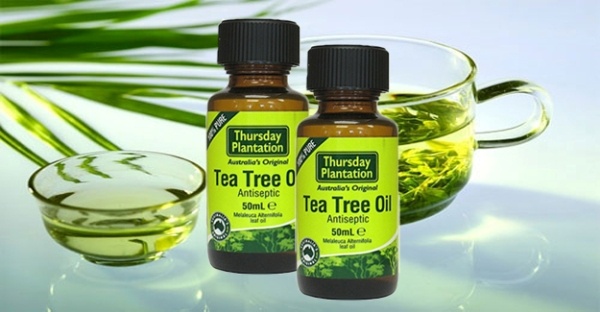 3.Tinh dầu trà xanh: Cảm thấy thực sự mệt mỏi trong một ngày nắng ? Đơn giản chỉ cần thoa lên da của bạn các lớp dầu trà xanh để làm giảm cháy nắng và các vấn đề về da khác rất hiệu quả.