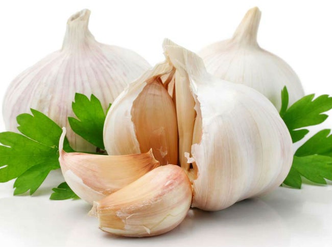 8. Tỏi: Tỏi là thực phẩm có tác dụng xua đuổi muỗi rất hữu hiệu bởi nó mùi vị khá nồng. Bạn có thể sử dụng vài củ tỏi tươi giã nát, sau đó dùng dung dịch nước tỏi thoa vào da, muỗi chắc chắn sẽ không dám tấn công bạn. Hoặc đơn giản là bạn có thể ăn vài nhánh tỏi, mùi tỏi sẽ được thoát qua các lỗ chân lông và muỗi sẽ tránh xa bạn. Ảnh: Mercola.