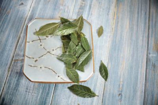 2. Lá nguyệt quế: Đây là một loại lá cứng, lớn được sử dụng làm gia vị phổ biến cho các món ăn. Lá nguyệt quế có mùi hương rất nhẹ đối với con người, nhưng lại khiến gián tránh xa. Gia vị này có bán sẵn ở các cửa hàng tạp hóa, có thể đặt ở một vài khu vực để ngăn chặn gián như vách tường, vết nứt trên tường. Bạn cũng có thể xay lá nguyệt quế tươi hoặc khô thành bột mịn để sử dụng dần.