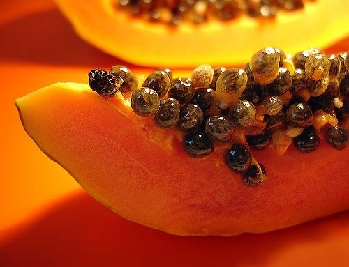  6 loai qua chin tot cho be-Hinh-4 Ngoài ra, đu đủ chín còn có một lượng khá canxi, với khả năng cung cấp đủ 4% nhu cầu canxi một ngày cho trẻ. Đu đủ chín còn có chứa enzym cho hệ tiêu hóa papain. Vì thế, nếu bé yêu tích cực được ăn đu đủ chín, hệ tiêu hóa của bé sẽ hoạt động trơn tru. Bạn sẽ giảm gánh nặng biếng ăn, bỏ bữa hay nôn trớ do sợ ăn của bé.