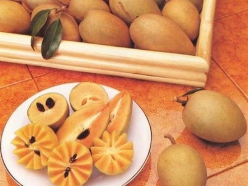 6 loai qua chin tot cho be hinh anh