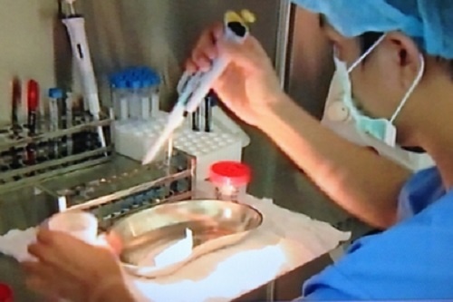 Bi hai chuyen di lay 'con giong' hinh anh