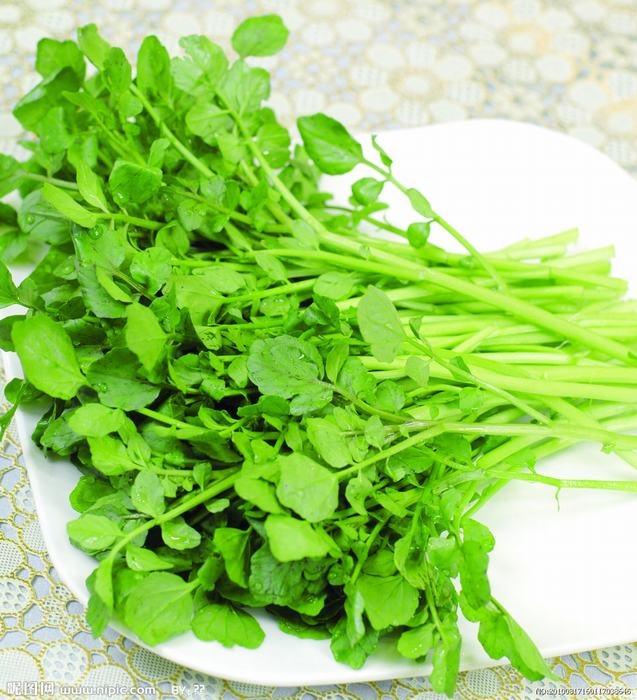 Cải xoong là thực phẩm giàu chất chống oxy hóa, chứa vitamin C, K, canxi, beta-carotene, sắt và iốt. Một số nghiên cứu đã tìm thấy cải xoong có tính chất chống ung thư và có thể giúp sửa chữa ADN hỏng.