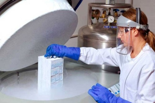 20 tuoi gui trung vao ngan hang de 40 tuoi sinh con hinh anh