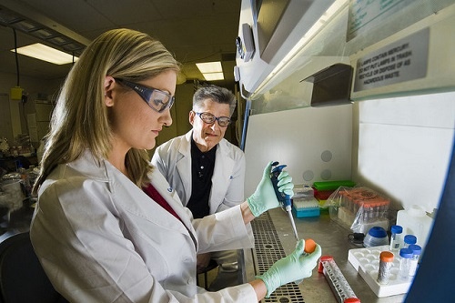 Da co thuoc chua dut benh viem gan B hinh anh