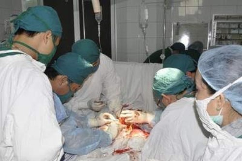 Su co cong thang cua quy ong hinh anh