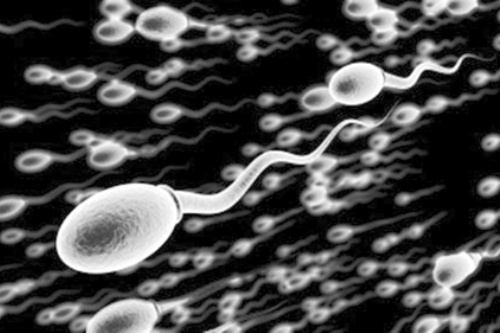 Tinh dich mau vang co anh huong den sinh con? hinh anh