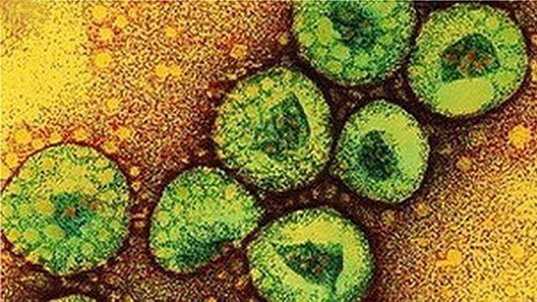 Virus tu than MERS-CoV nguy hiem nhu the nao? hinh anh