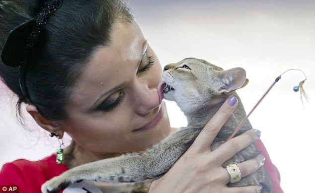 Mu mat vi bi meo liem hinh anh