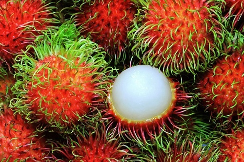 Chom chom: Tot tu cui den hat hinh anh
