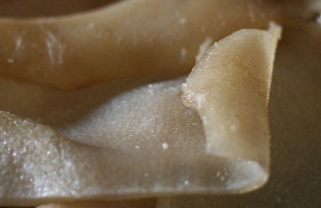 An da dong vat: Nen hay khong? hinh anh