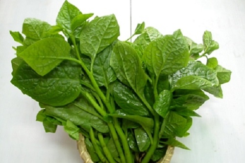 Cong dung cua rau mong toi doi voi suc khoe hinh anh