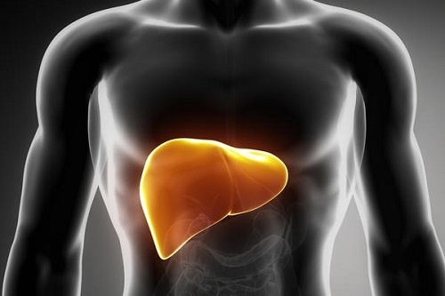 Men gan cao co nguy hiem? hinh anh