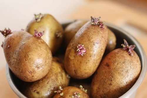 Nhung thuc pham doc hai chung ta van thuong an hinh anh