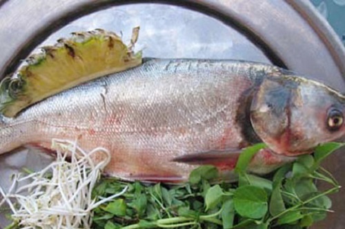 Thuoc quy tu mon ca me hinh anh