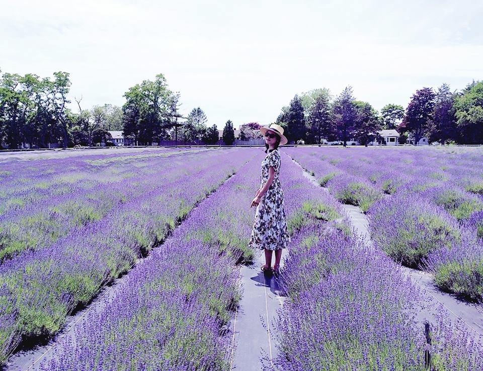 thời trang váy hoa ảnh 1 thoi trang vay hoa anh 1