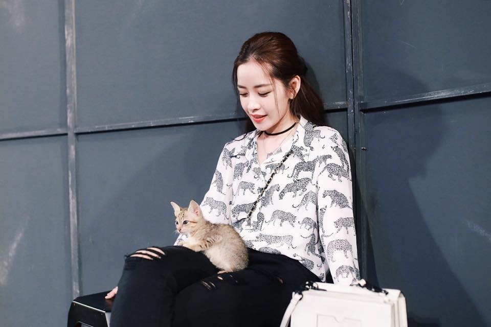 thời trang chi pu, phong cách chi pu, sơ mi ảnh 6 thoi trang chi pu, phong cach chi pu, so mi anh 6