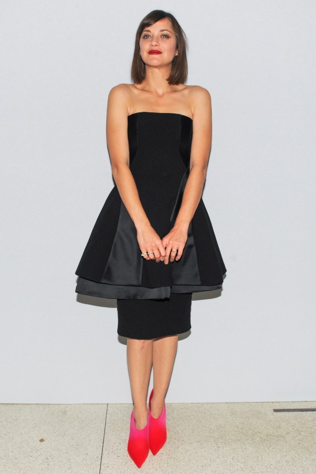 marion cotillard anh 3