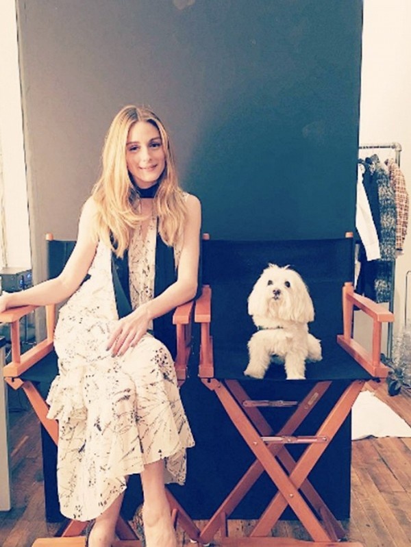 Khan quang Olivia Palermo me man anh 5