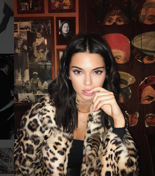 Kendall Jenner diện họa tiết da báo ảnh 5 Kendall Jenner dien hoa tiet da bao anh 5