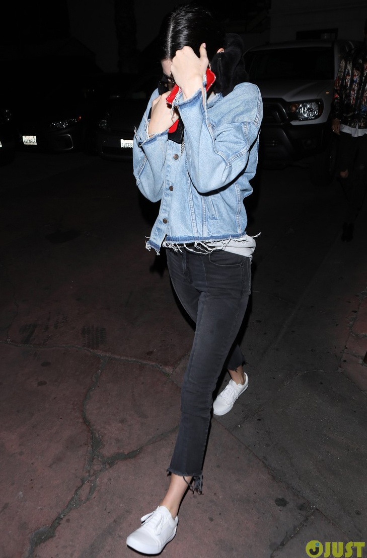 Kendall Jenner ảnh 6 Kendall Jenner anh 6