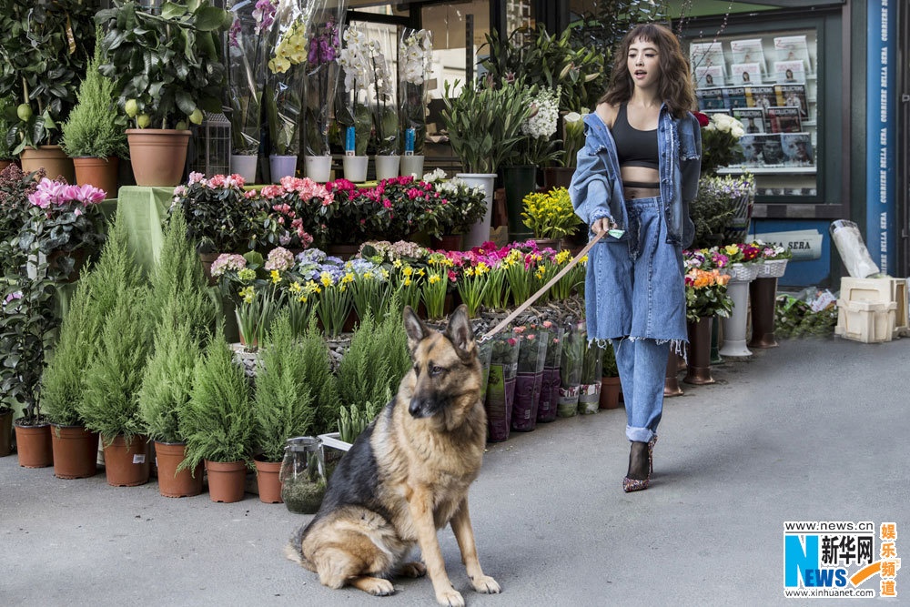Thoi trang mua thu cua sao Hoa ngu anh 8