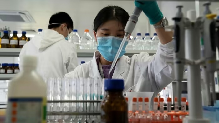 Covid-19 ảnh 1 Covid-19 anh 1