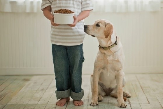 Lam the nao khi tre bat chuoc trao luu an thuc an cua cho tren mang? hinh anh