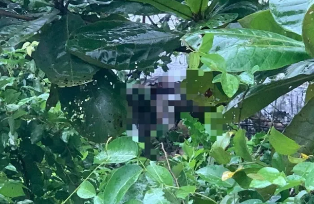 Sau 4 ngay mat tich, thi the nu sinh 16 tuoi duoc phat hien duoi song hinh anh