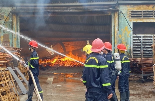 Chay co so che bien go o Bac Giang hinh anh