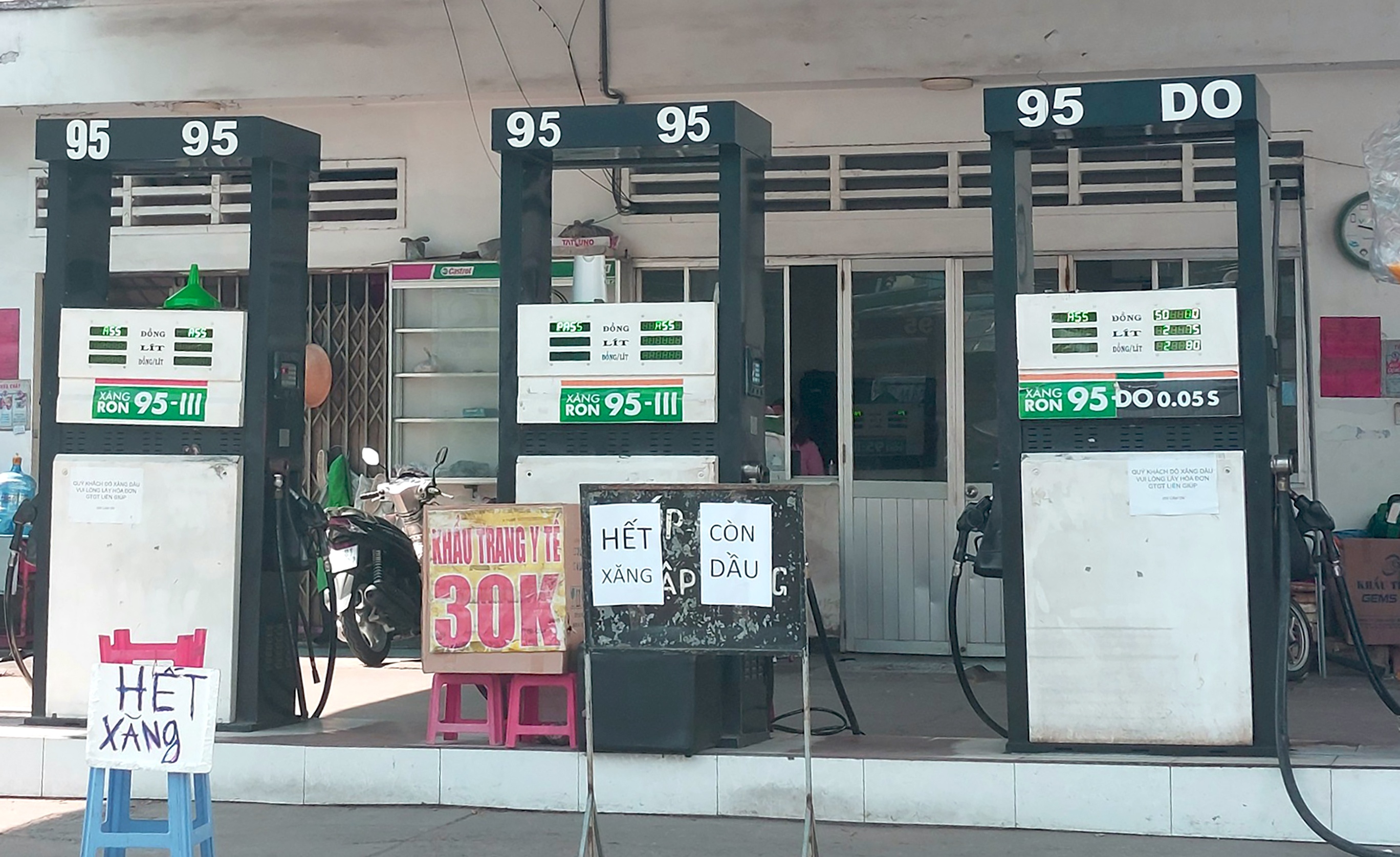 cay xang TP.HCM anh 2