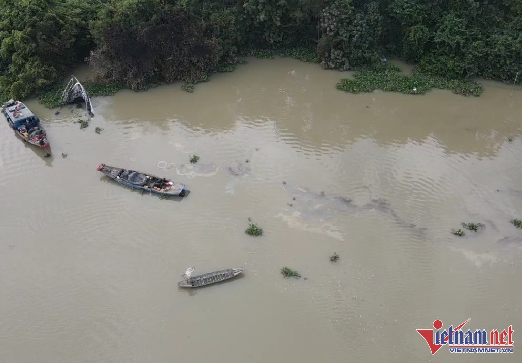 chay du thuyen anh 3