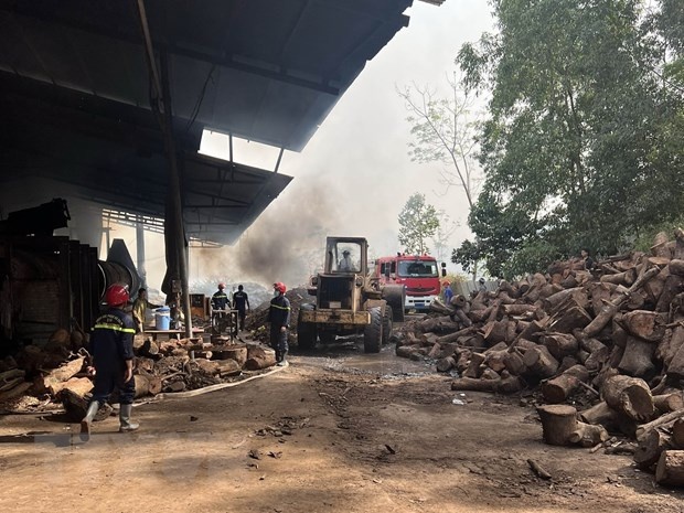 chay xuong go Binh Phuoc anh 1