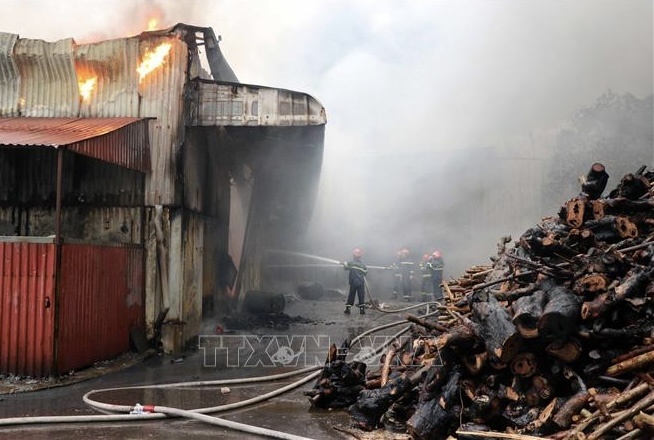Chay hang nghin met vuong nha xuong tai Hai Phong hinh anh