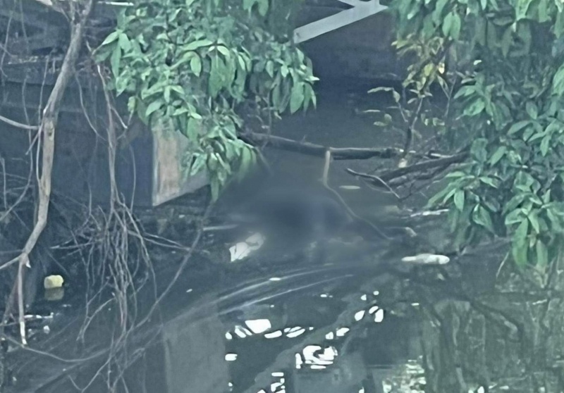 Thi the nguoi dan ong noi duoi chan cau Cho Dinh hinh anh